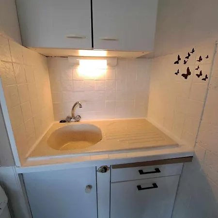 شقة 2 Pieces Avec Piscine, Parking Prive Et Proche Pour 4 Personnes - Fr-1-326-820 *