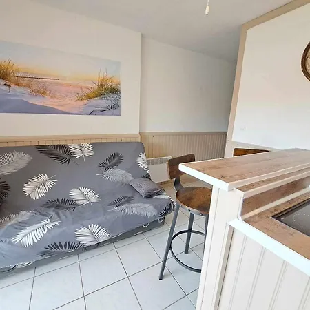 2 Pieces Avec Piscine, Parking Prive Et Proche Pour 4 Personnes - Fr-1-326-820